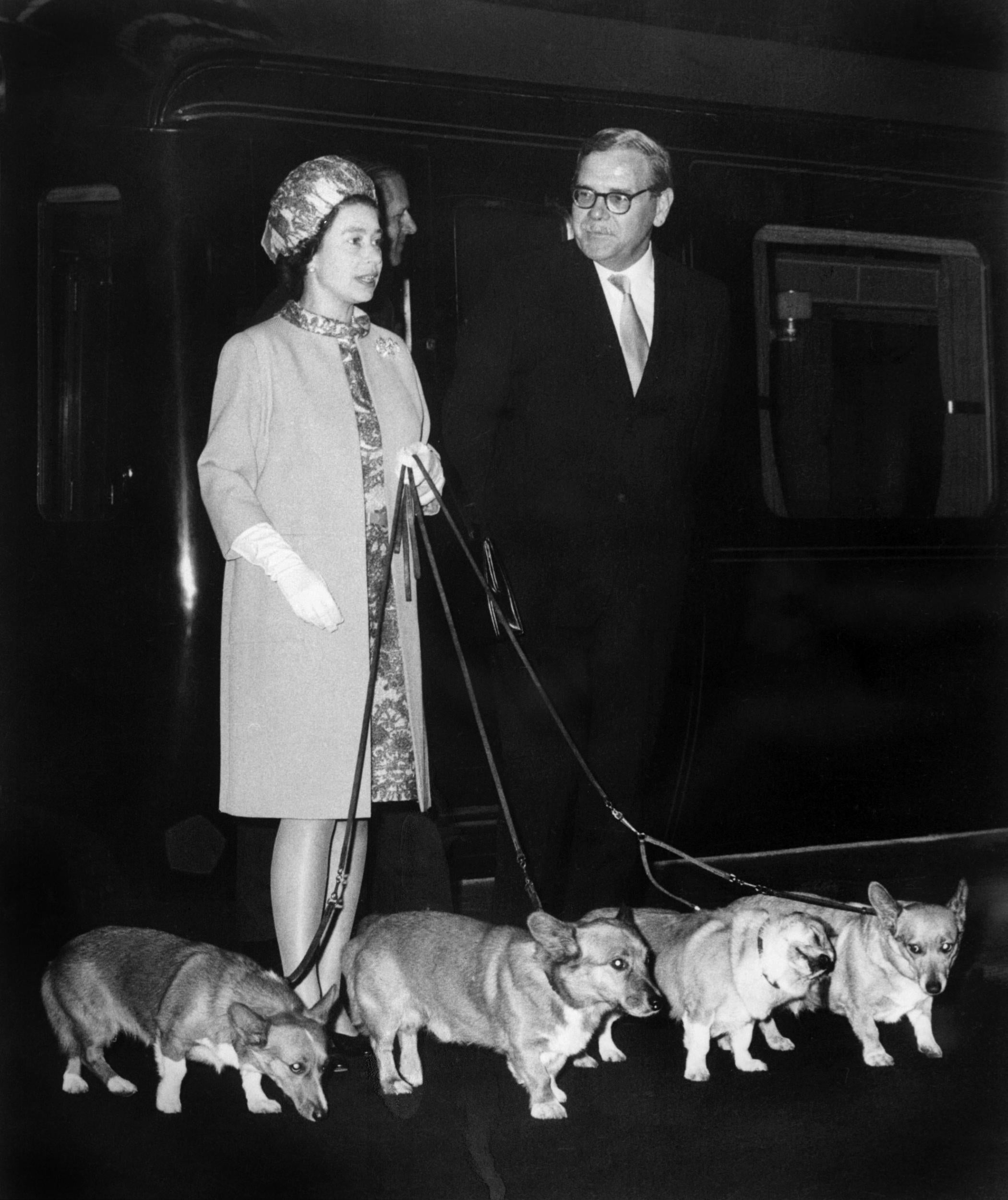 The Queen with four of her corgis in in October 1969