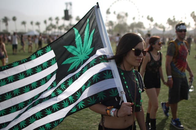 Woman carries cannabis flag at Coachella <em>David McNew/Getty</em>