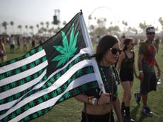 420: America's cannabis lovers light up on unofficial stoners' day