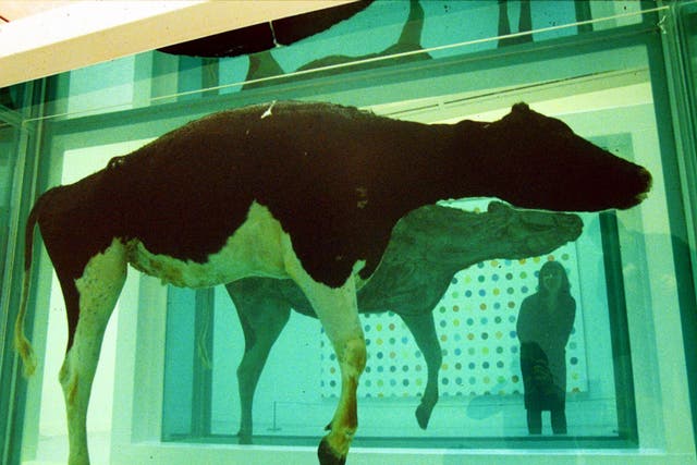 'Mother and Child Divided' by Damien Hirst features a bisected cow and calf preserved in formaldehyde