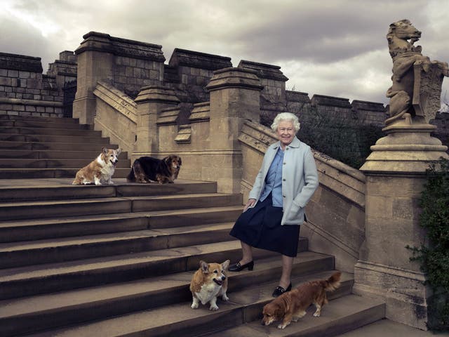 In this official photograph released by Buckingham Palace to mark her 90th birthday, Queen Elizabeth II is seen walking in the private grounds of Windsor Castle with four of her dogs