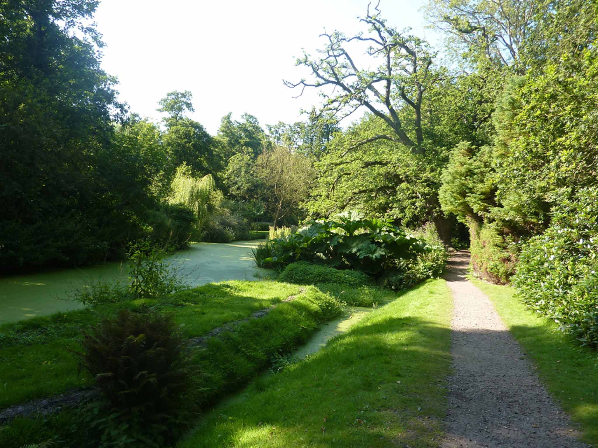 Fairhaven Water Gardens: A beautiful and evocative mix of woodland, dykes and creeks
