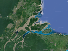 Scientists discover 3,600 square mile coral reef at the Amazon River
