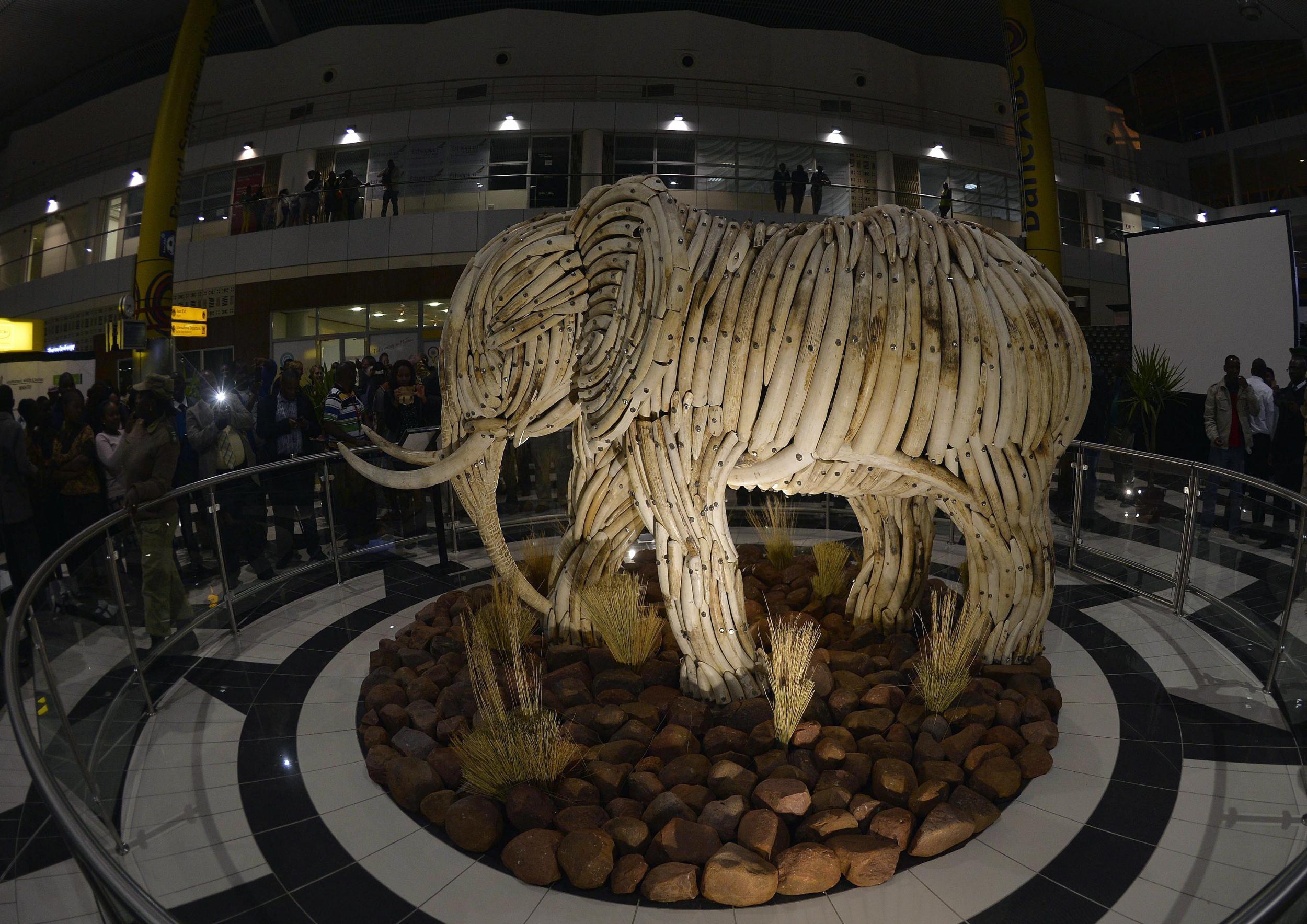 The unveiling of the sculpture, made entirely from elephant tusks, at Sir Seretse Khama International Airport in Gaborone