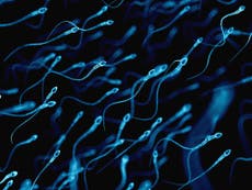 Sperm counts in West plunge by 60% as ‘modern life’ harms men