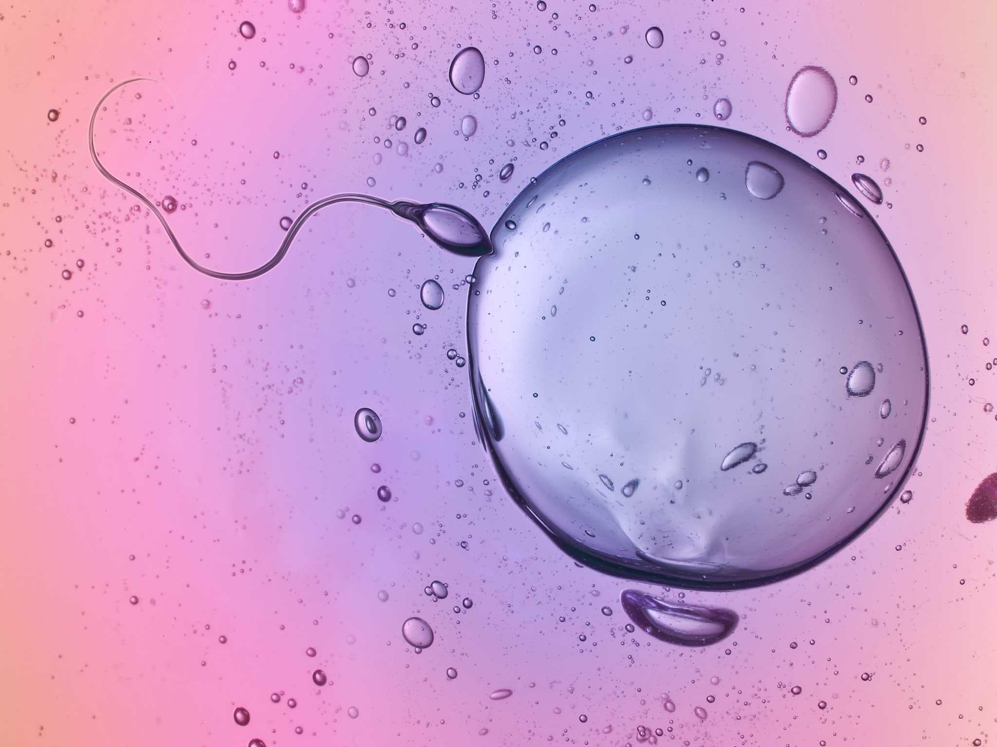 Latest research uses a peptide which alters the way human cells work, “switching off” sperm’s ability to swim