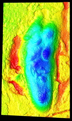 A scan of one of the footprint tracks