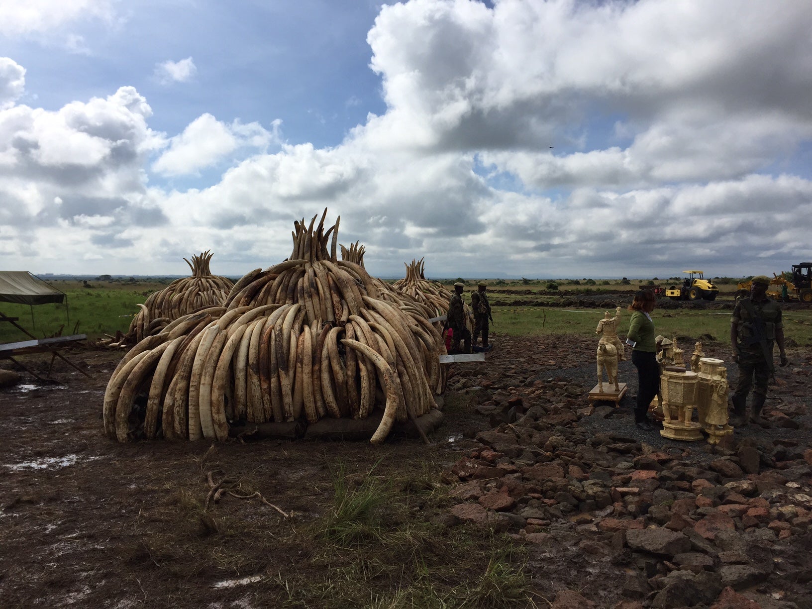 A pyre of ivory to be burned following the Giants Club Summit