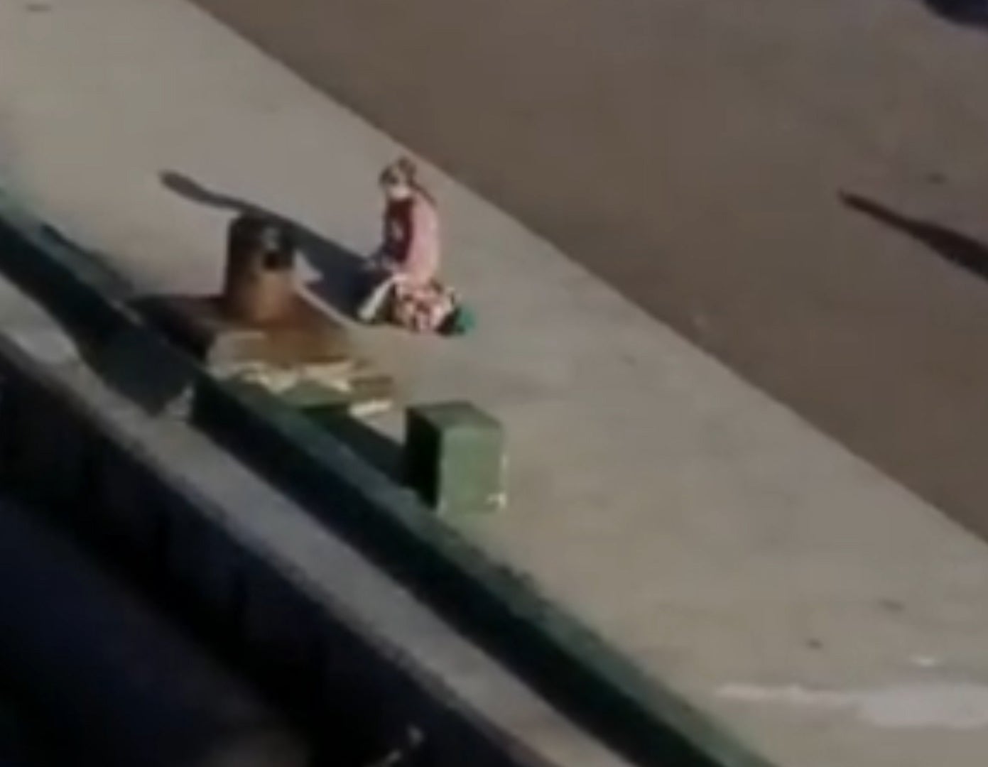 Video captures distraught mother sobbing on dock as cruise ship leaves ‘with children on board’