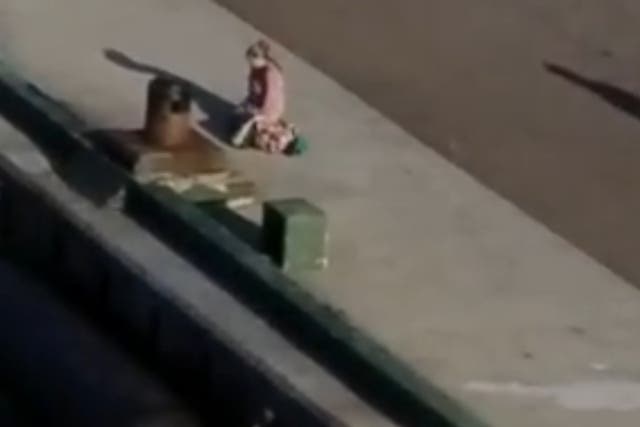 Video captures distraught mother sobbing on dock as cruise ship leaves ‘with children on board’