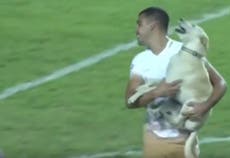 Watch the happiest dog in the world invade a Copa Libertadores match