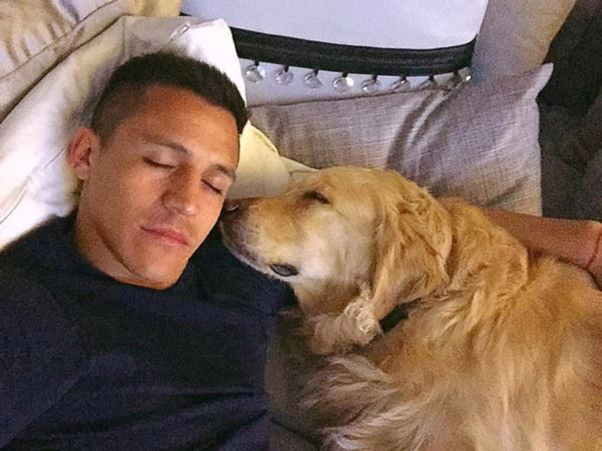 Alexis Sanchez sleeps alongside his dog Atom