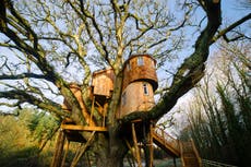 Read more

The UK's 6 best treehouses