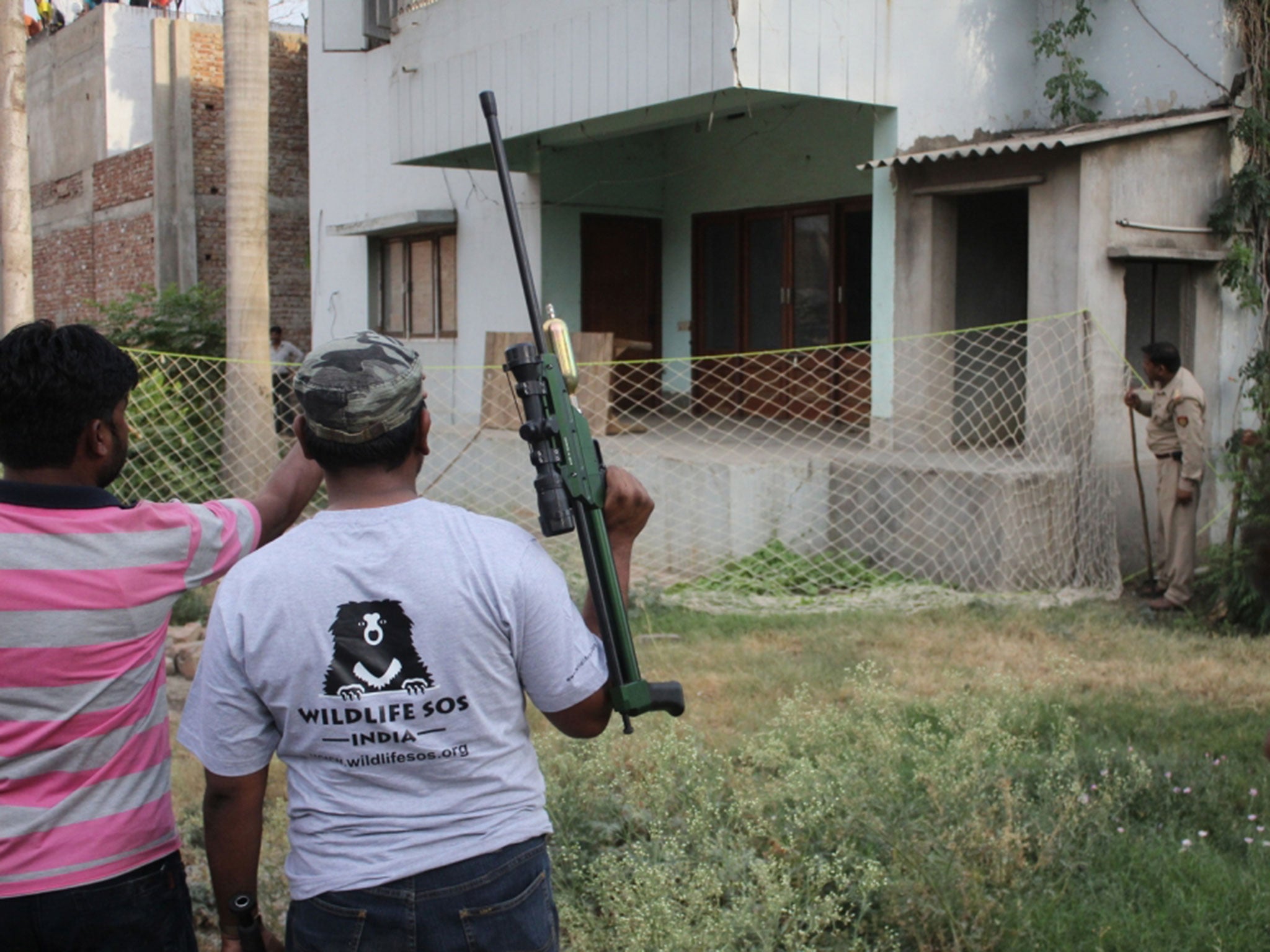 Rescuers gather with tranquilizer guns outside of the house ready to rescue the leopard