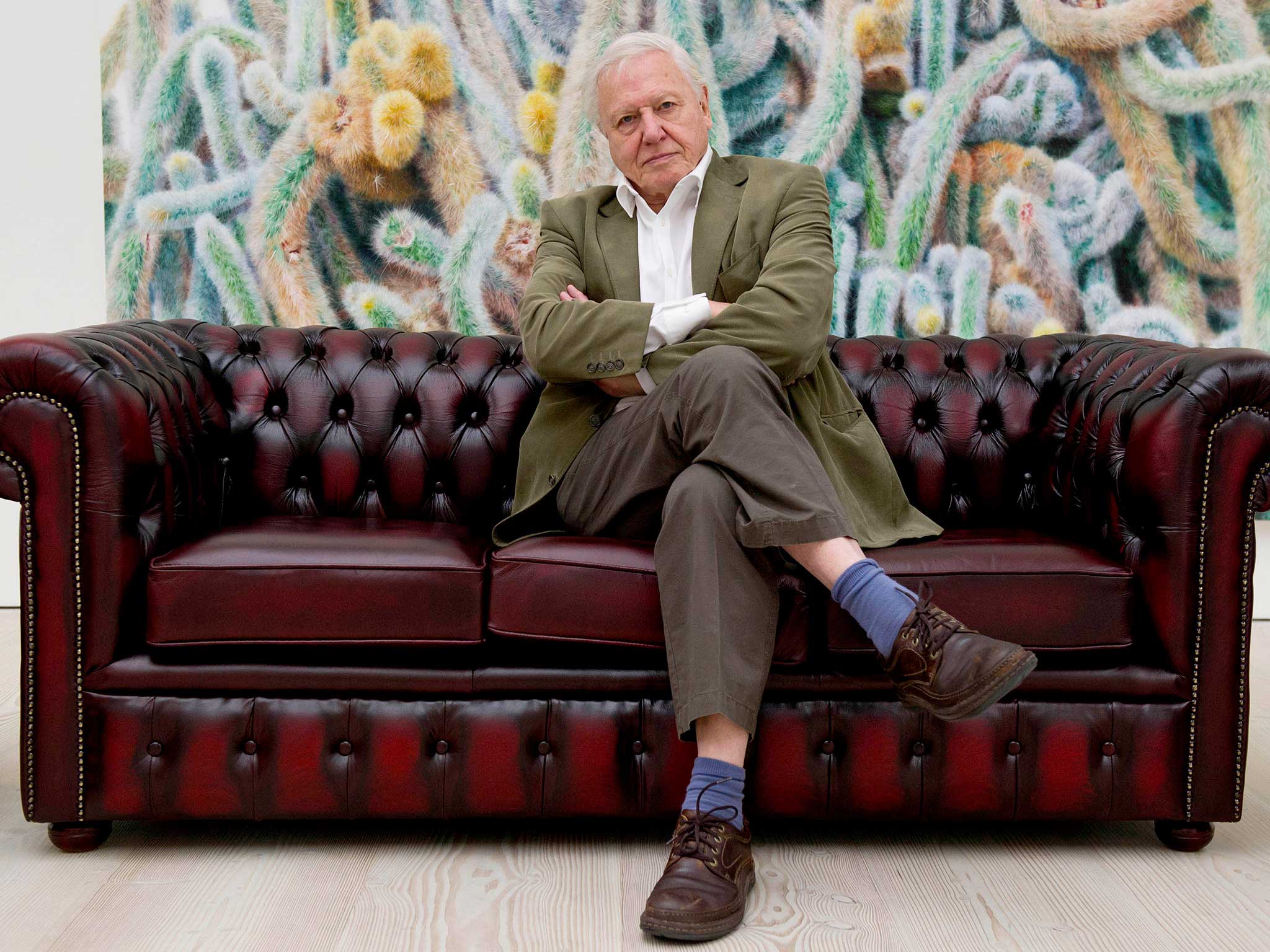 David Attenborough Reveals The Biggest Regret Of His Long Career