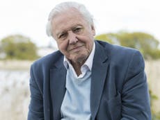 David Attenborough at 90: The broadcaster's life and career in pictures
