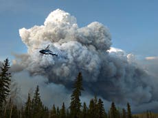 Fort McMurray wildfires: State of emergency declared in Alberta as out of control wildfire threatens to destroy city