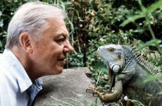 15 of Sir David Attenborough’s best quotes