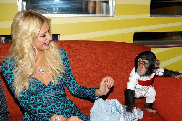 Paris Hilton poses with a baby chimp in New York in 2008