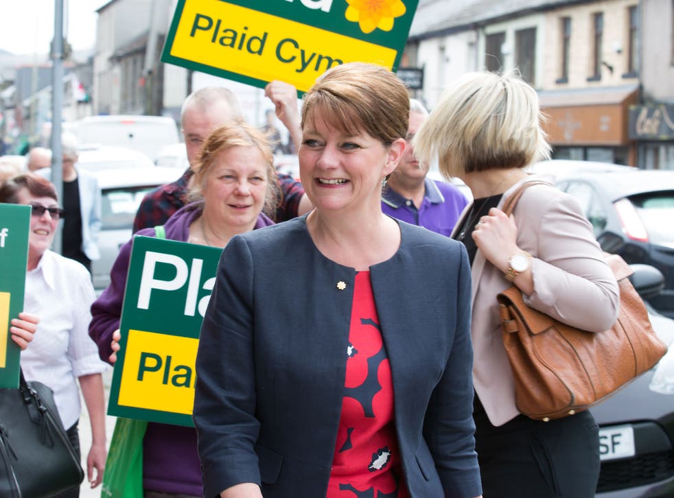 Leanne Wood has been leader of Plaid Cymru since 2012