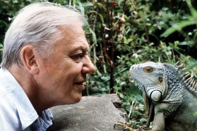 David Attenborough turns 90 this year.