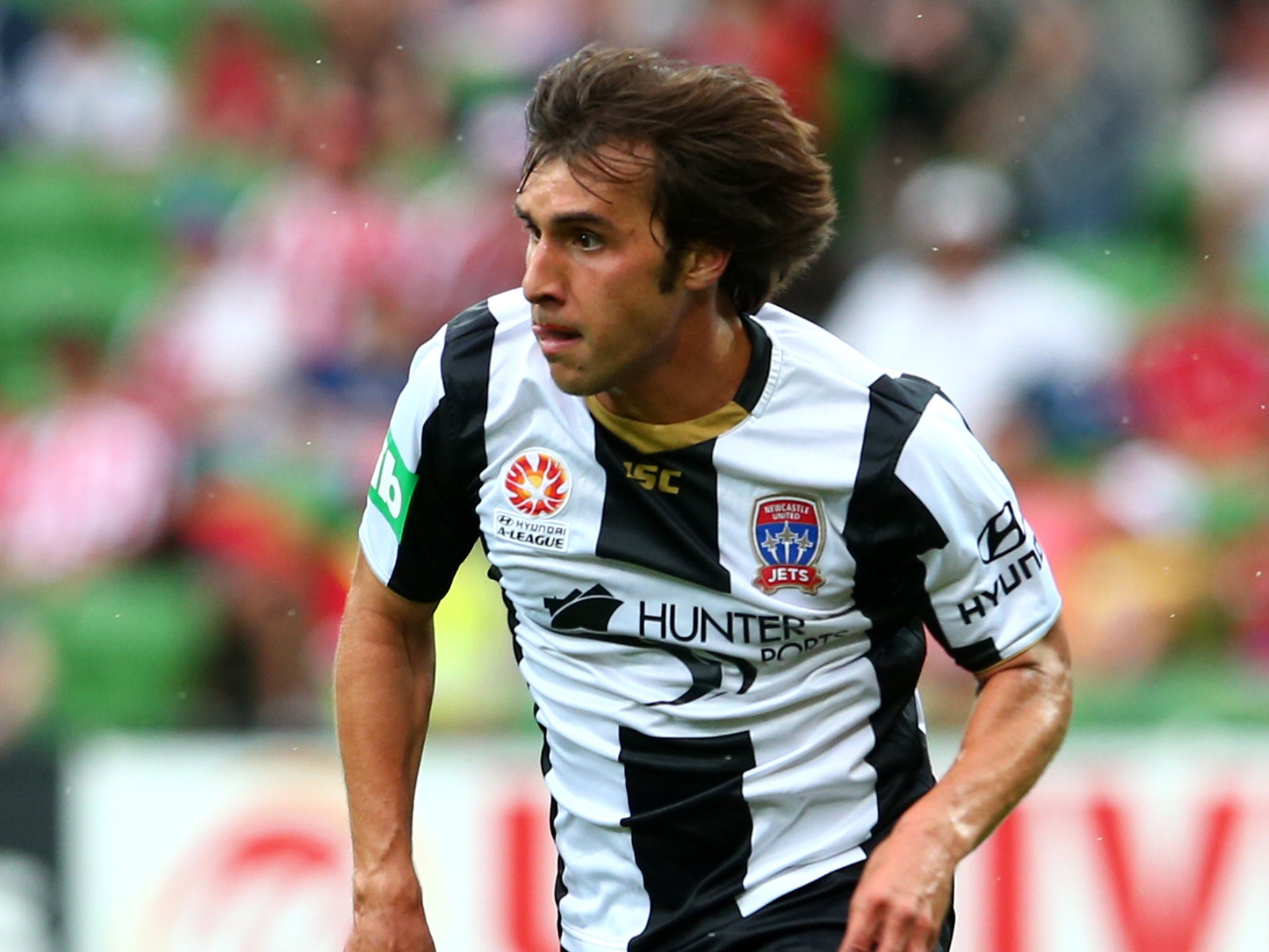 Ribeiro made six appearances for A-League side Newcastle Jets