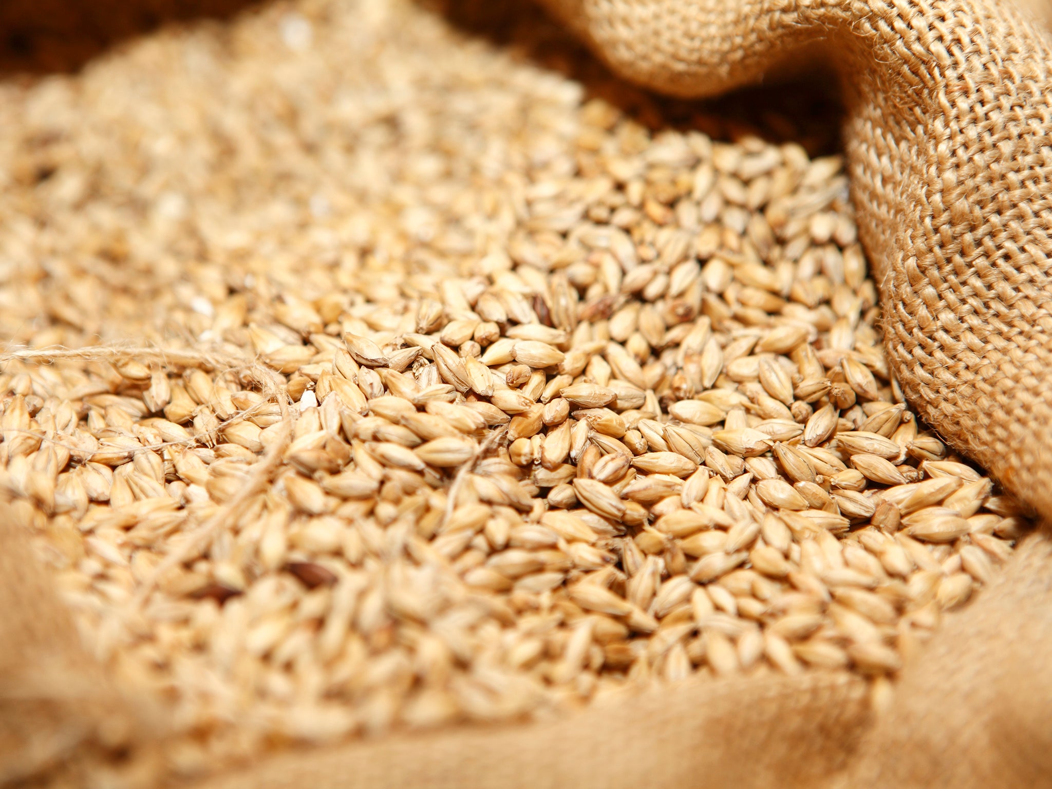 A large quantity of wheat was exchanged to 'settle' the case