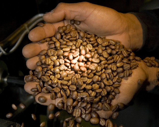 The world drinks its way through around 150 million 60kg bags of coffee a year