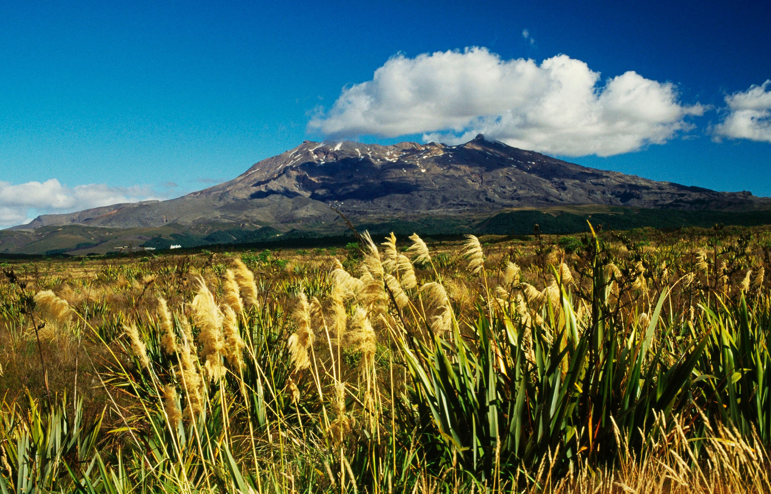 Thousands of hikers travel to Ruapehu every year to soak in the surroundings