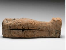 Youngest-ever mummified foetus from Ancient Egypt discovered in tiny coffin