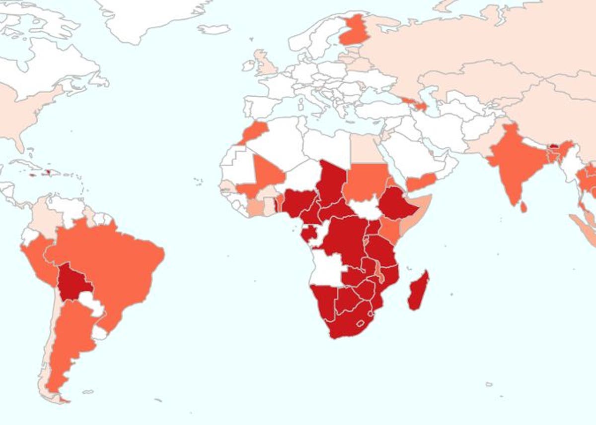 Syphilis  Think Global Health