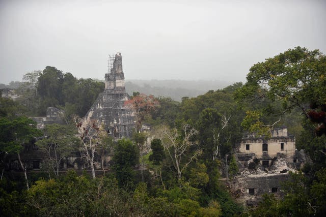 Previously discovered Mayan temples at the Tikal archaeological site, north of Guatemala City