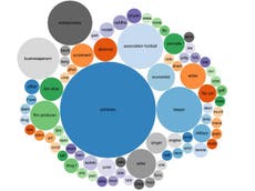 The occupations of people in the Panama Papers