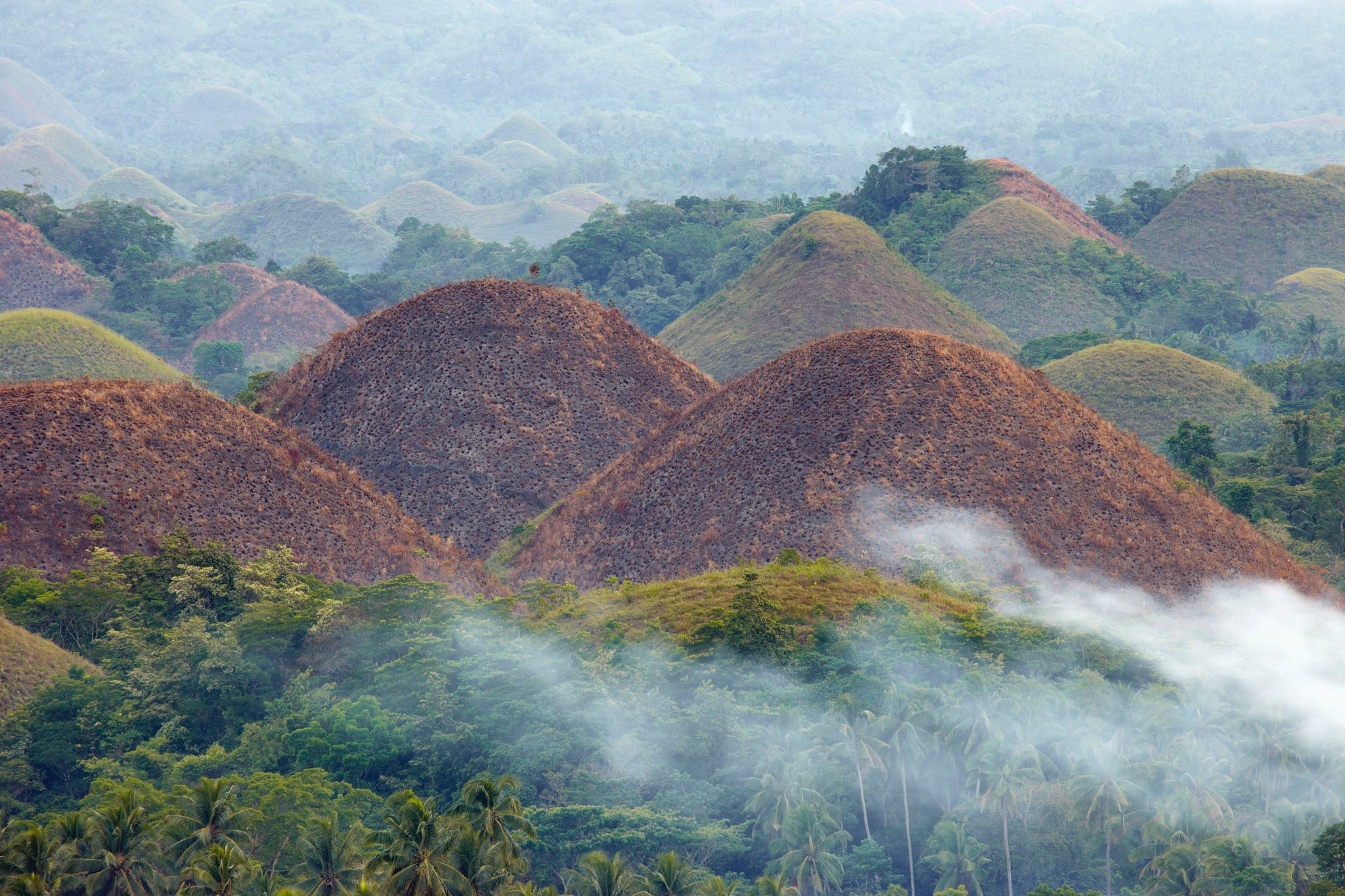 Chocolate Hills