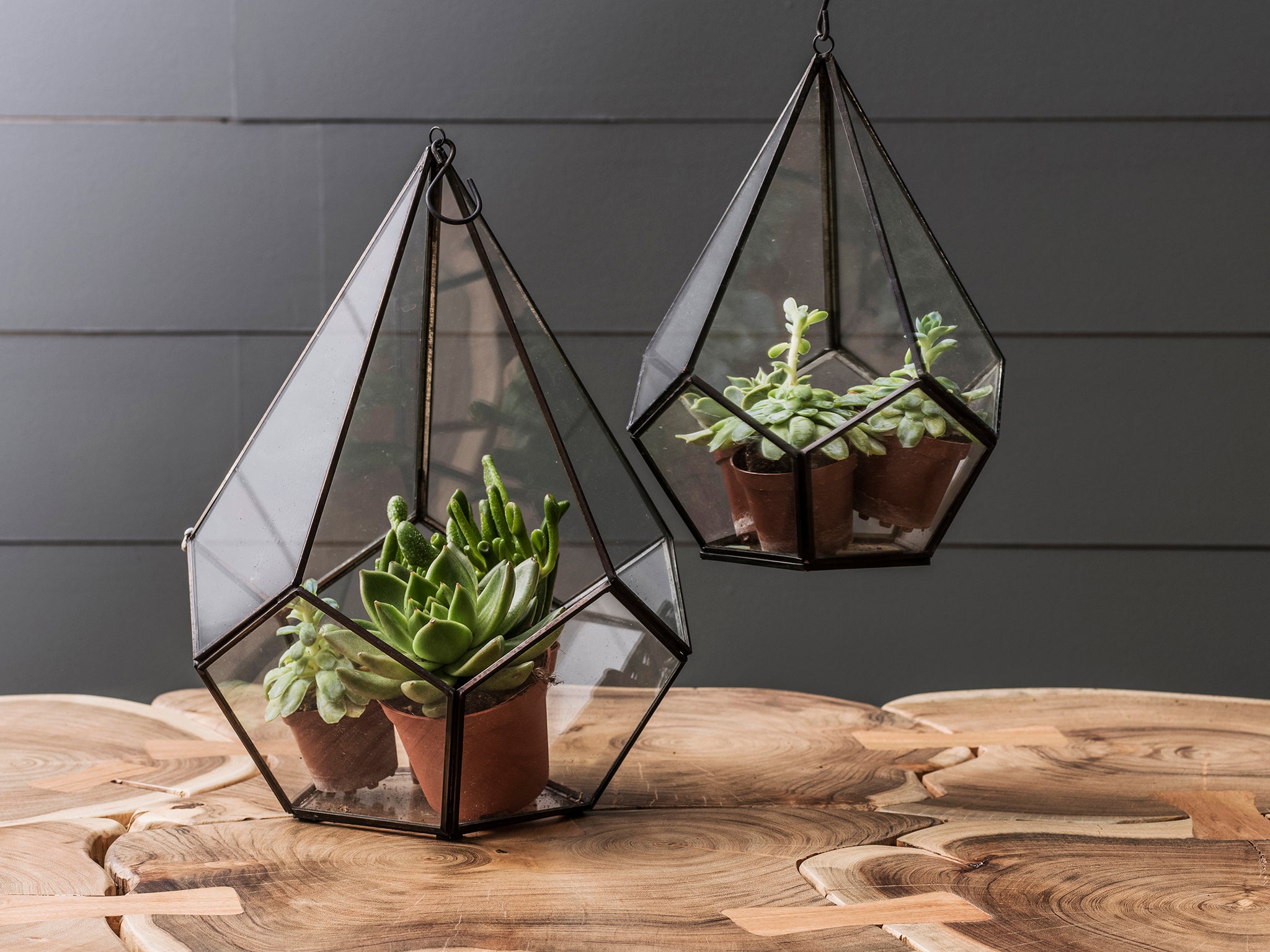 Graham and green hanging terrariums £38.00 - £65.00