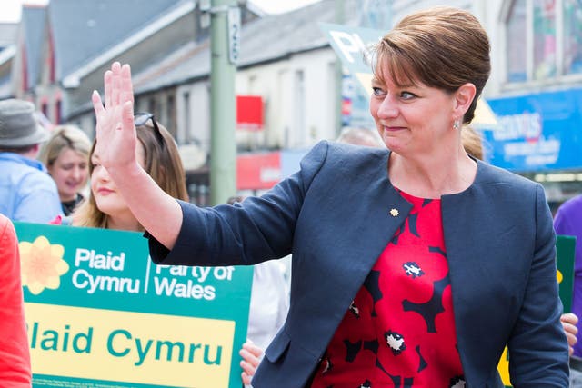 Leanne Wood has been the target of sexist language