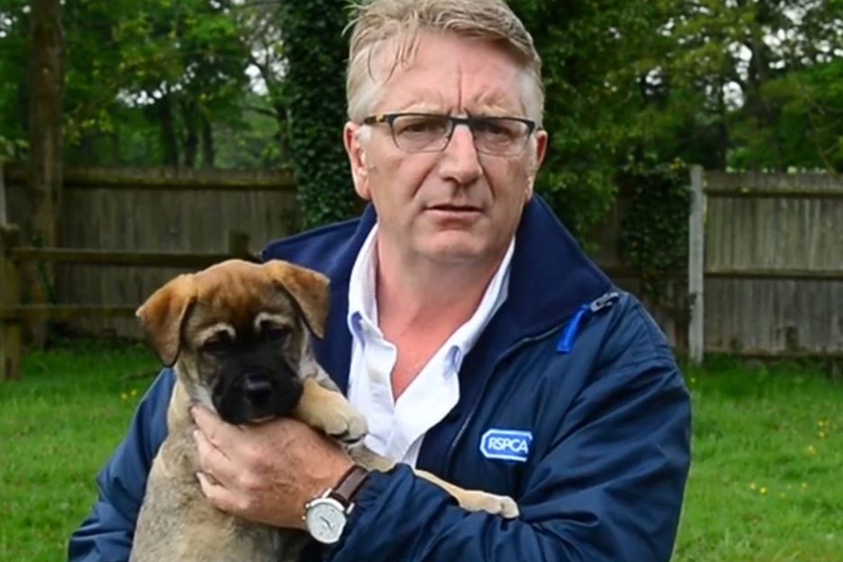 New RSPCA boss makes public apology and promises charity will be less ...