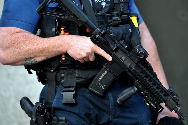 David Cameron announced last month that money will be ring-fenced to boost the number of firearms officers after terror attacks in Brussels and Paris