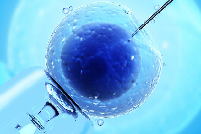 The Human Fertilisation & Embryology Authority is concerned about IVF ‘add-ons’ without evidence they work 