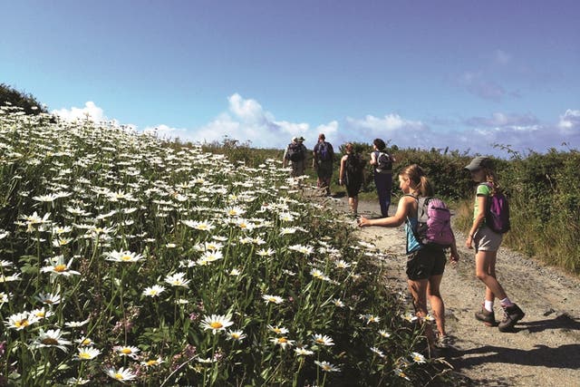 Take a hike on the Isle of Wight