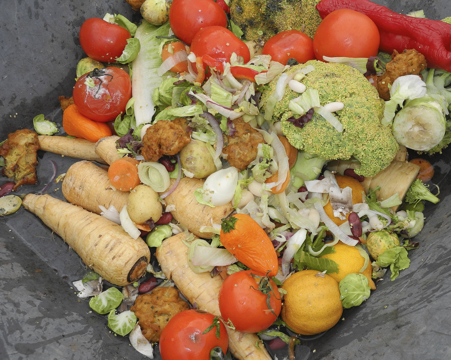 The UK is far worse than the rest of the EU when it comes to food waste