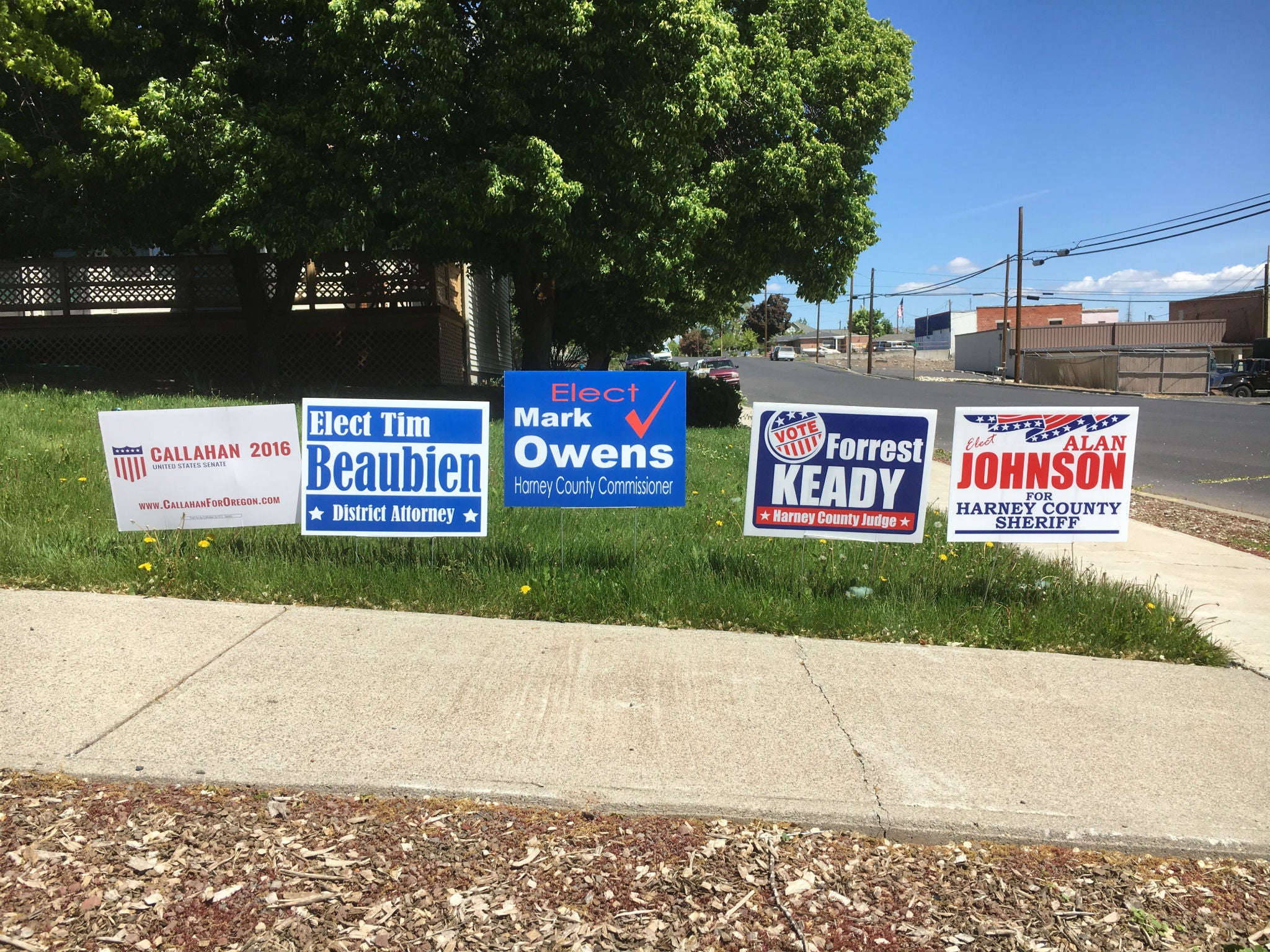 Lawn signs in support of local 2016 candidates in Burns, Oregon