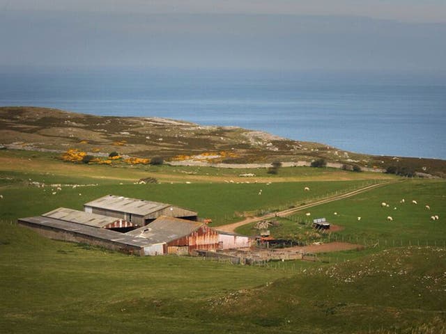 Yours for £1: sheep farm with stunning views 