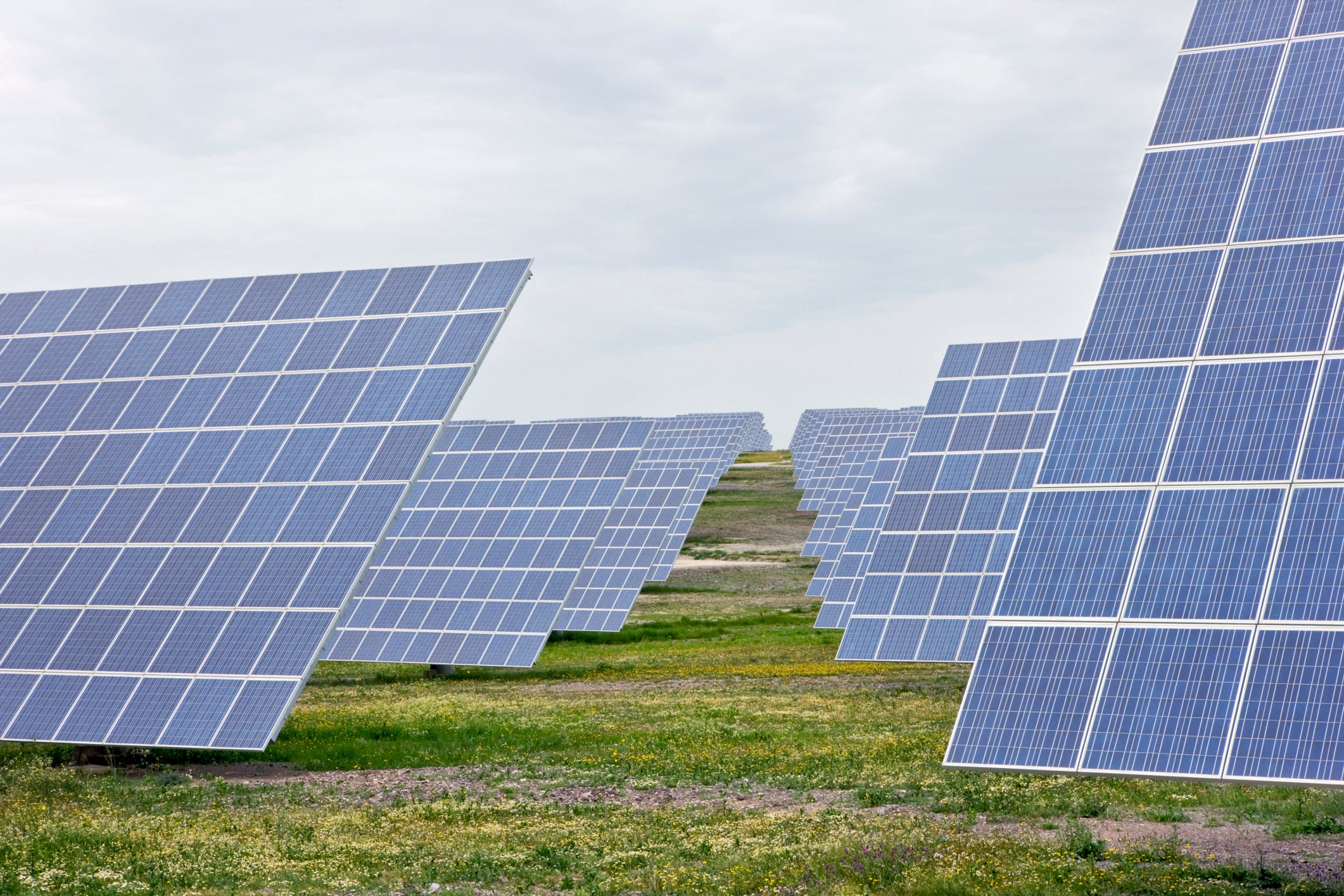 Solar panels are one of the biggest sources of renewable energy in Portugal