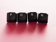 No one can stop teenagers from watching porn – not even David Cameron