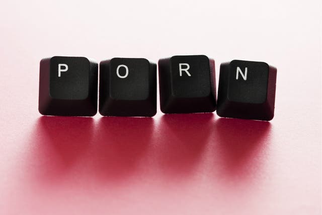 Online pornography is here to stay: internet speeds are getting faster and server costs and storage space are getting cheaper 