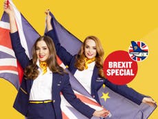 Ryanair Brexit special sale offers expats cheap flights ‘to fly home and vote remain’