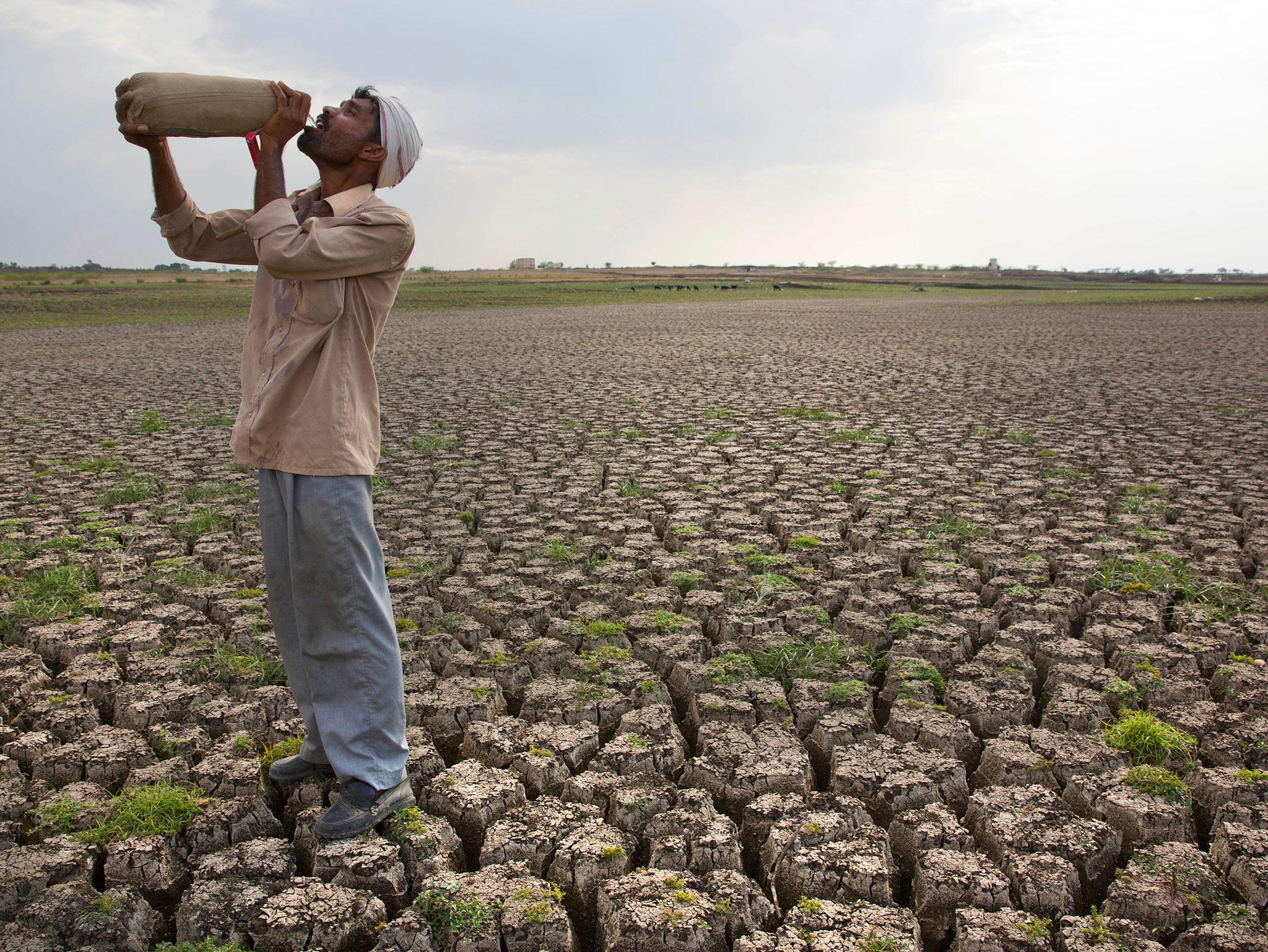 A shepherd drinks water on what used to be the bed of a reservoir in Marathwada, India