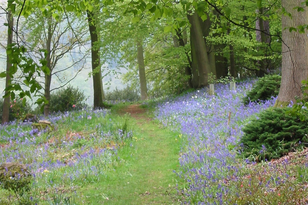 Arley Arboretum