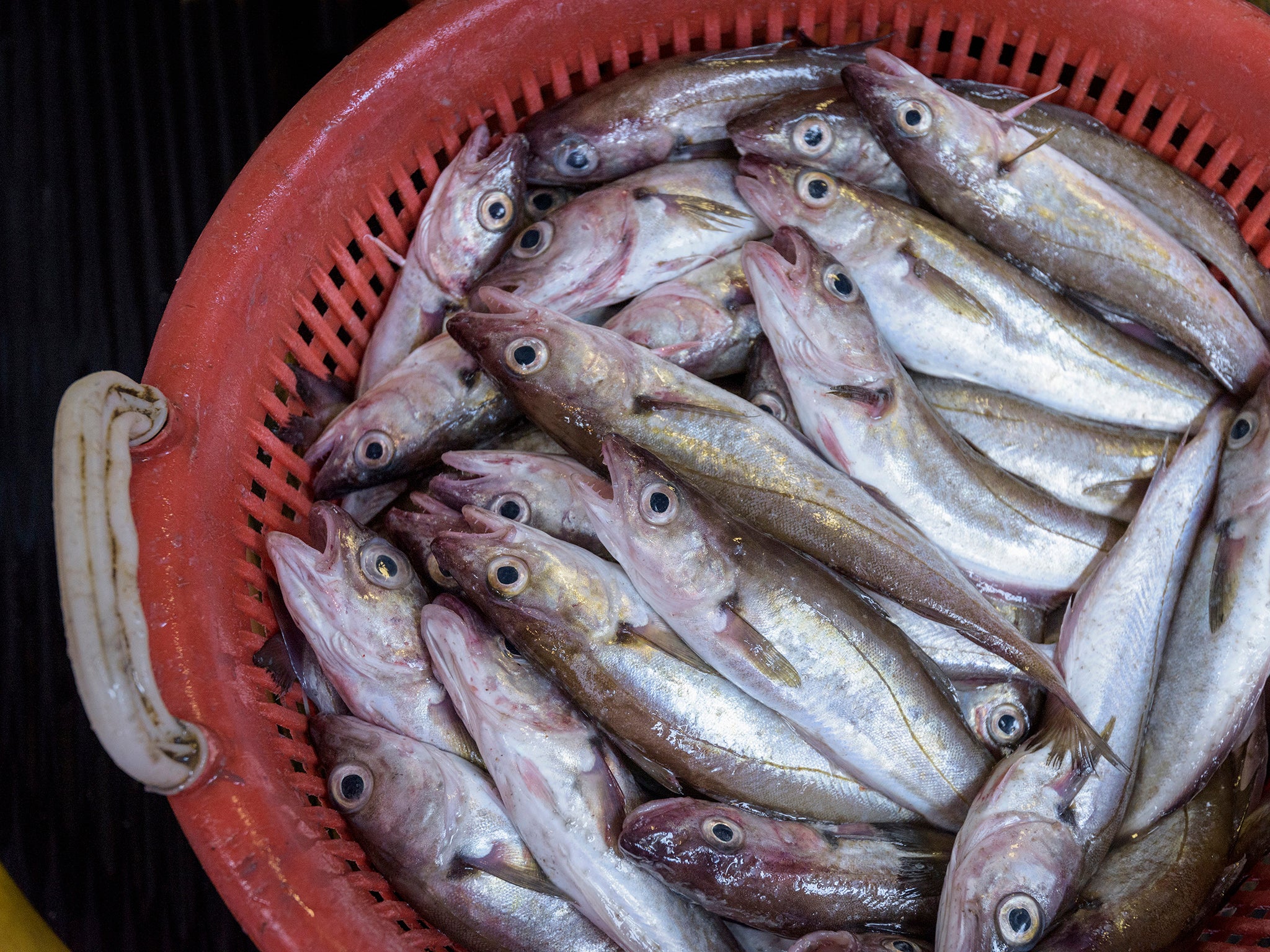 Eating oily fish 'cuts risk of death from bowel cancer', research